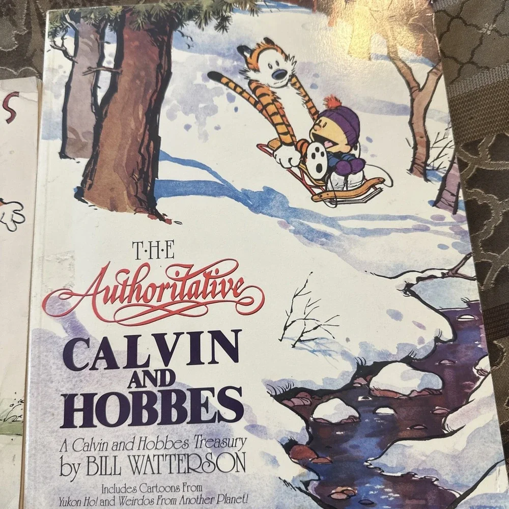Calvin and Hobbes: A Calvin and Hobbes 2 Children's graphic novel Books